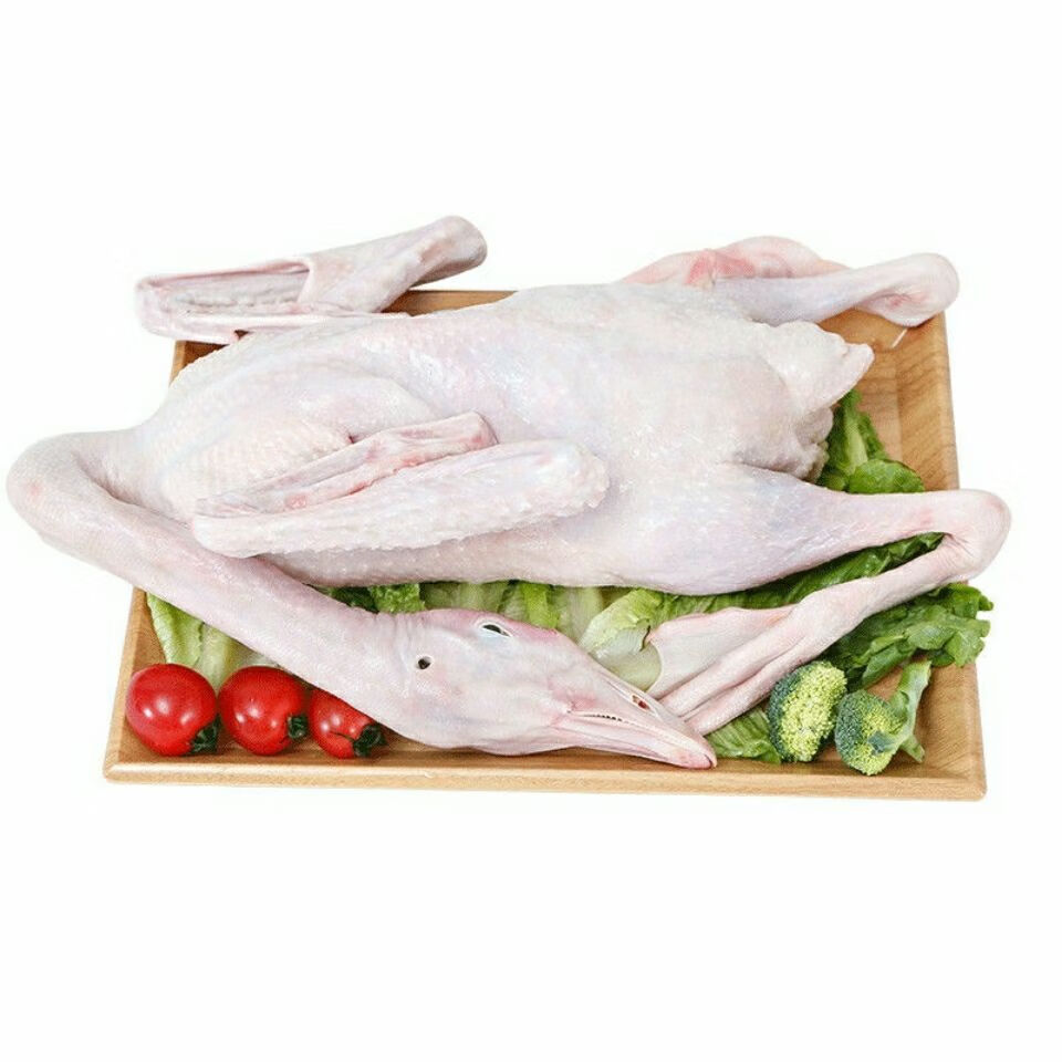 大雁整只 查干湖周边大雁整只散养现杀冷速冻净重大雁鹅大雁肉 多规格