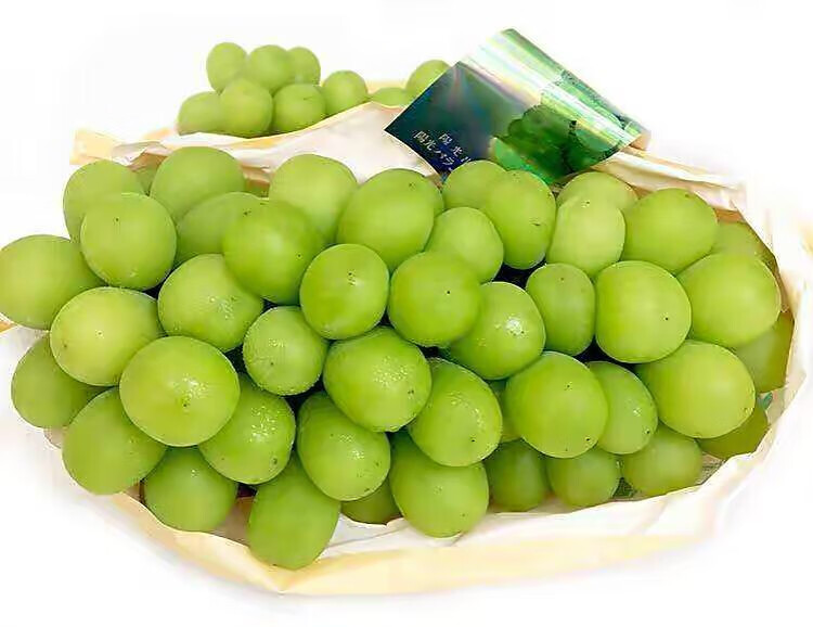 阳光玫瑰葡萄当季新鲜脆甜日本香印青提子水果晴王净重 2斤【图片