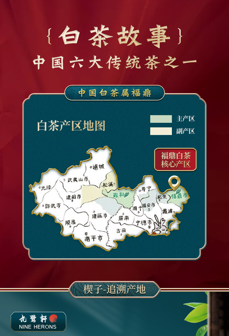 福鼎白茶老白茶10年珍藏版茶叶白茶饼贡眉350g