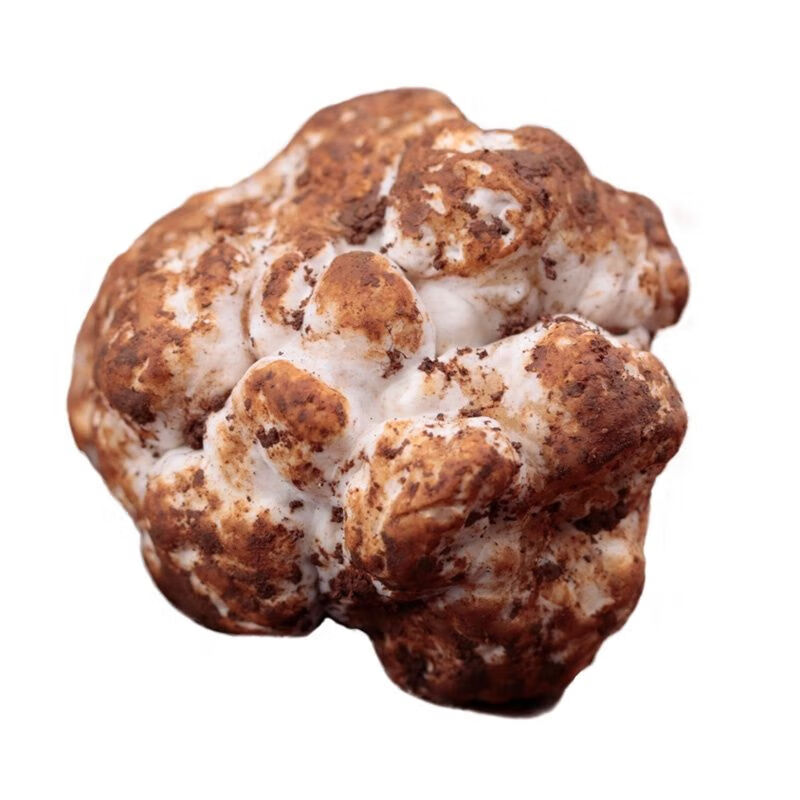 阿尔巴白松露 新鲜白松露云南特产野生菌非意大利白松露可炸松露油250