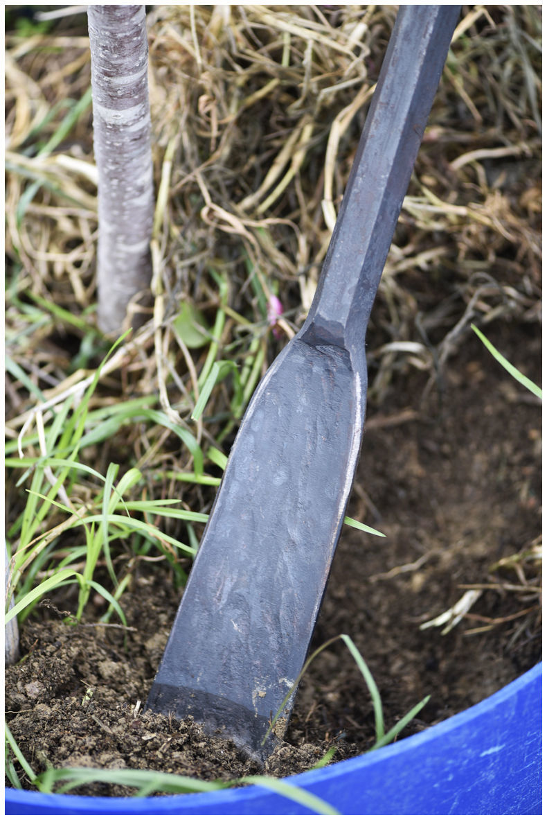 挖树铲子锻打铲户外树根农用工具挖土坑地沟神器铁锹 长号约130cm(以