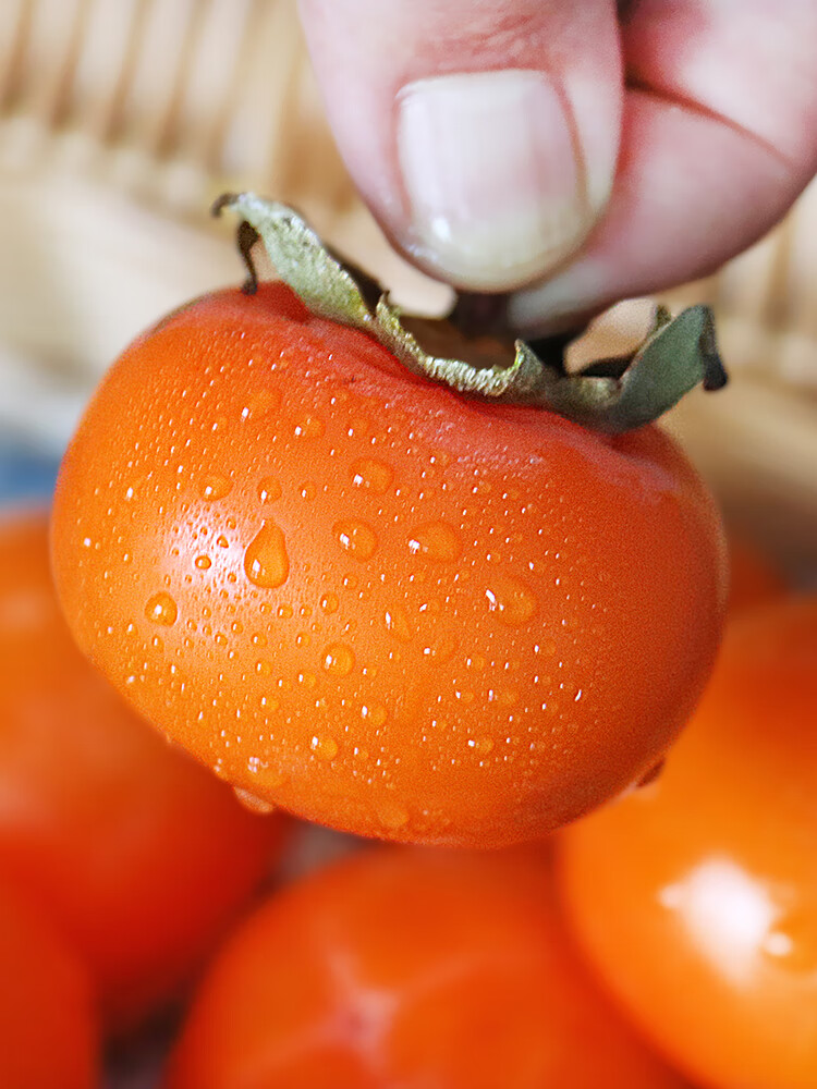 柿子【硬果发出,放软食用】陕西临潼火晶小柿子新鲜当季生柿子红柿子