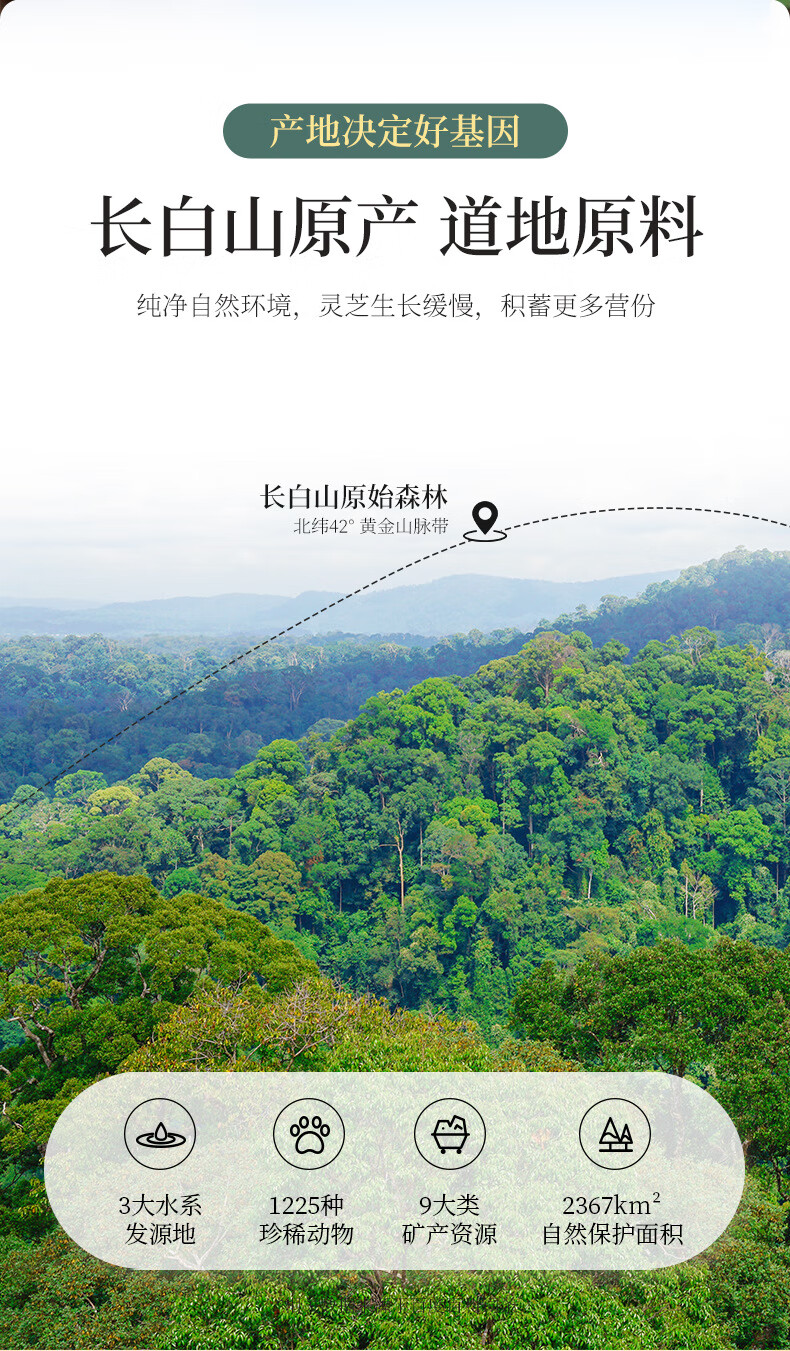 c2f50ed4817c8485.jpg