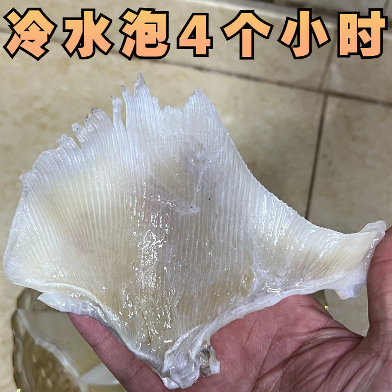 【jd滋补】鱼翅正宗天九翅海狗翅浦鱼翅天星翅煲汤食材海鲜干货 特大