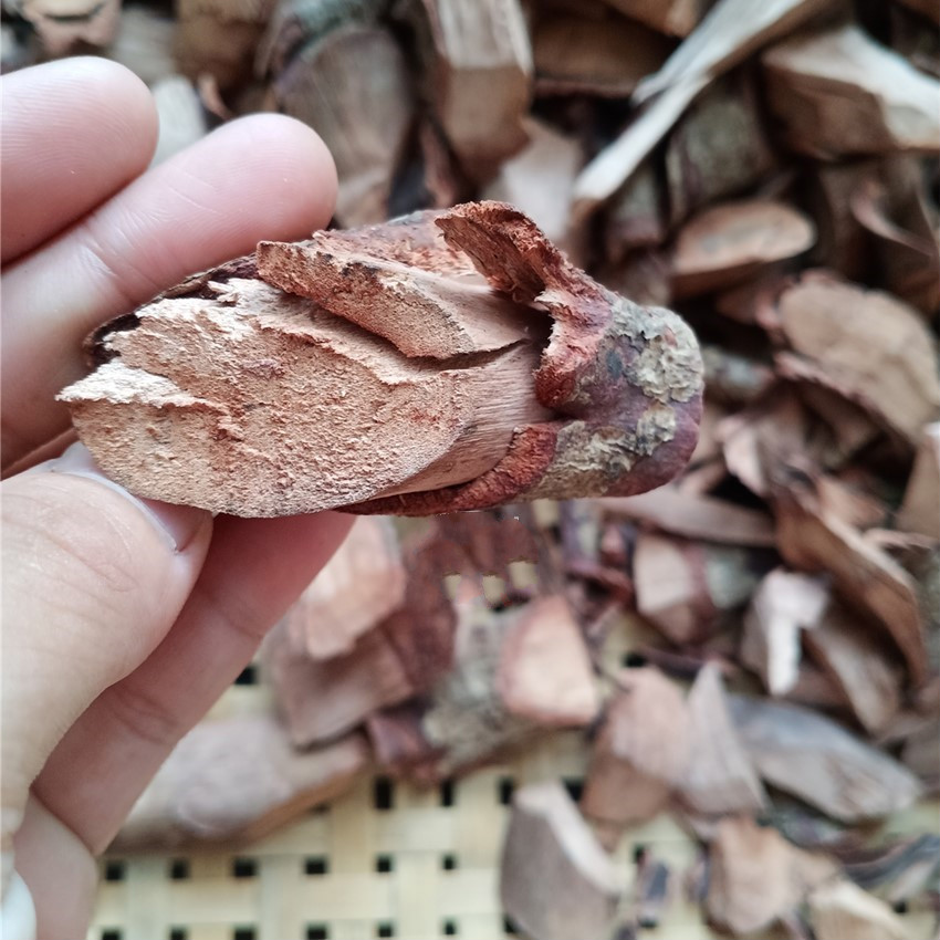 深山野生杨梅树根白杨梅根农家自采阳光晒干中药材500克