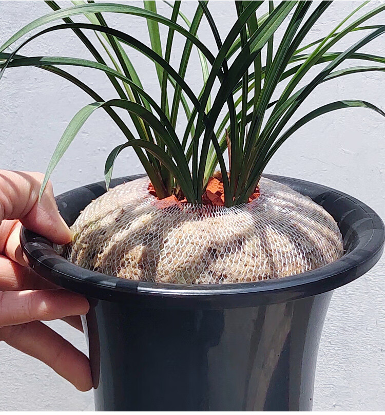 花盆塑料网套 高弹性兰花盆网套网罩防漏洒落塑料保护网缝纫线花卉