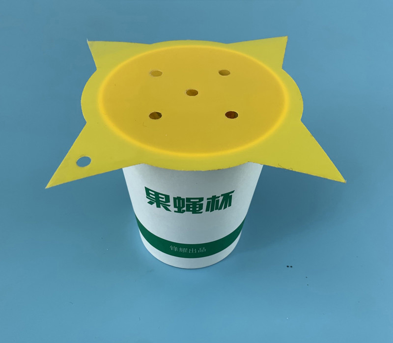 去除小飞虫 去除果蝇杯小苍蝇果蝇诱捕器小飞虫灭杀神器水果店垃圾桶
