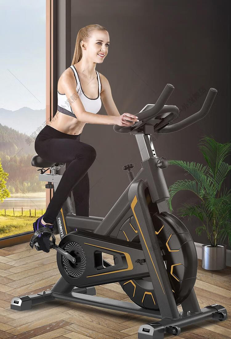单车健身器材家用男女锻炼器材小型健身车脚踏室内运动自行车健身房