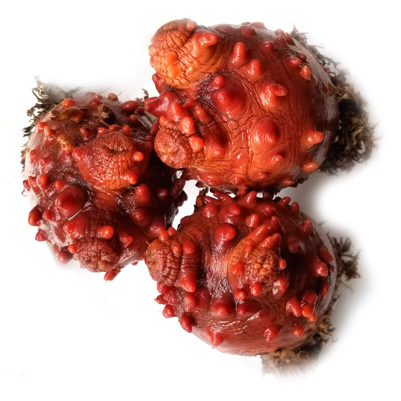 海鞘500g 真海鞘海鲜生鲜料理海菠萝海石榴海奶子鲜活发货【图片 价格