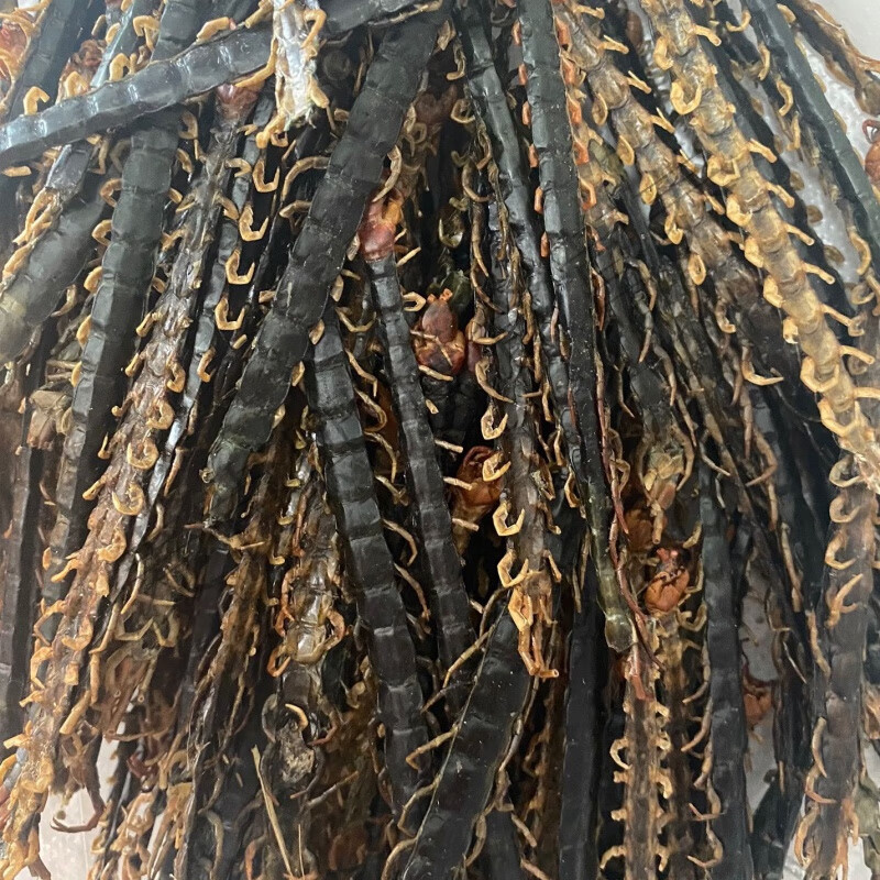 蜈蚣蜈蚣干百足虫1017公分全尺寸蜈蚣全蝎蝎子全虫去签蜈蚣30克精准克