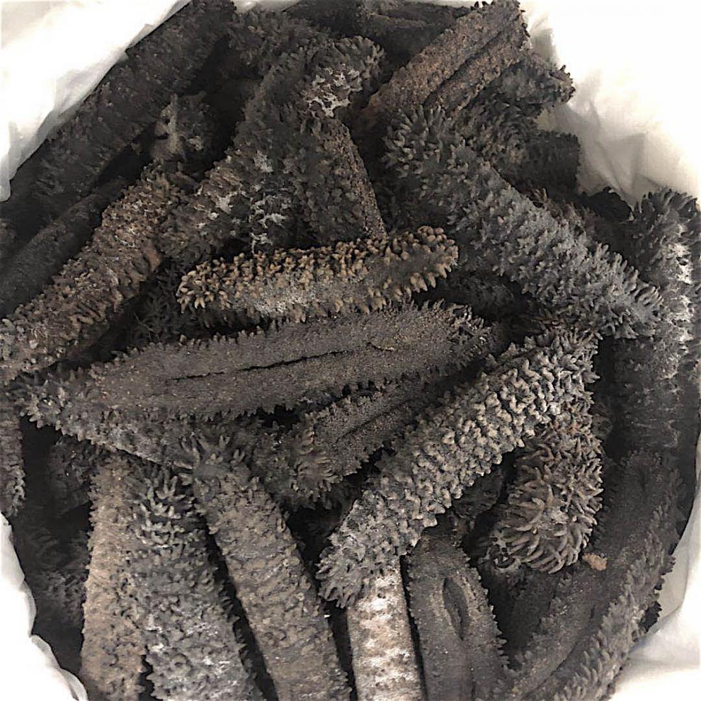 恬女神425头梅花参淡干海参刺参辽参500g