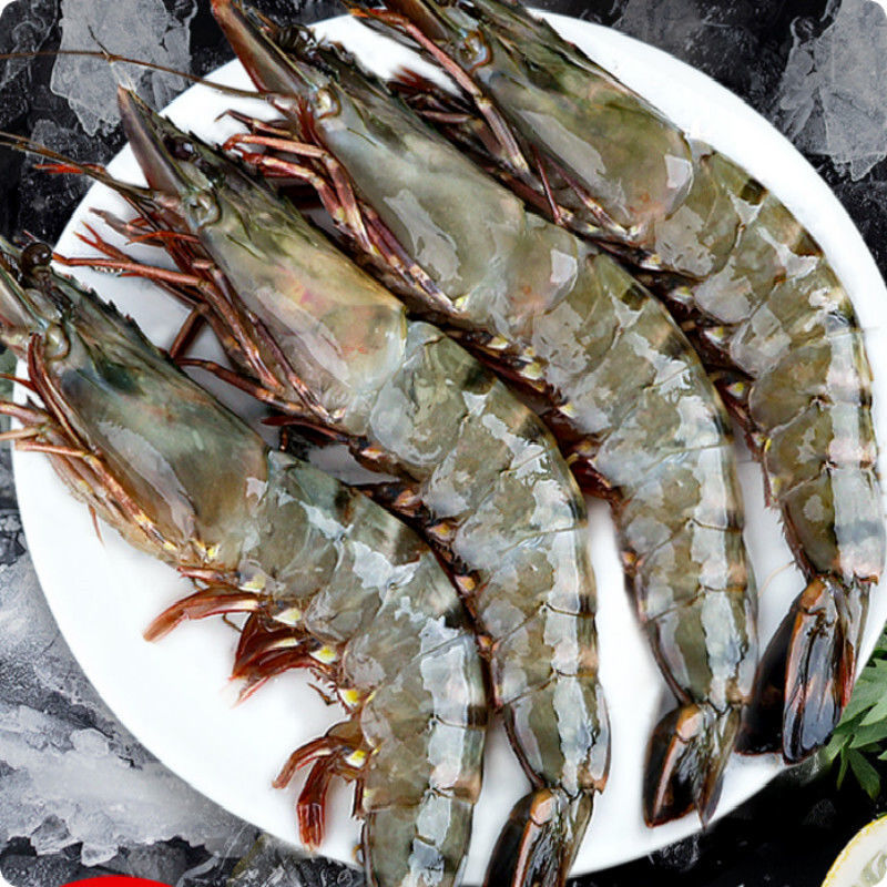 黑虎虾超大新鲜大虾老虎虾鲜活虎虾基围虾特大斑节虾海鲜竹九节虾香津