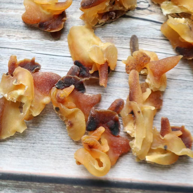 海螺肉响螺头肉 干货新鲜水产淡干响螺嘴煲汤 深海小号响螺嘴500g