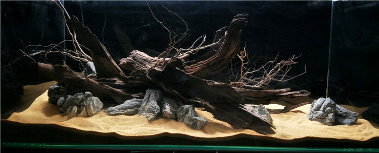 麦子沉木1050紫柚刺木拱桥南美鱼缸造景水族箱装饰乌龟晒台21