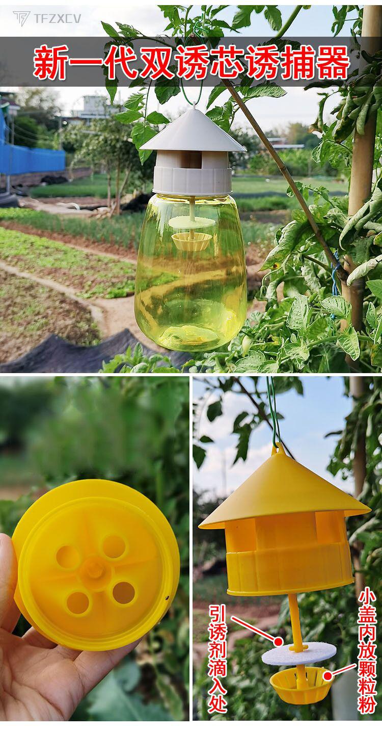 tf【现货闪发】果蝇诱捕器果蝇性引诱剂诱捕剂第三代药水果蝇水实蝇针