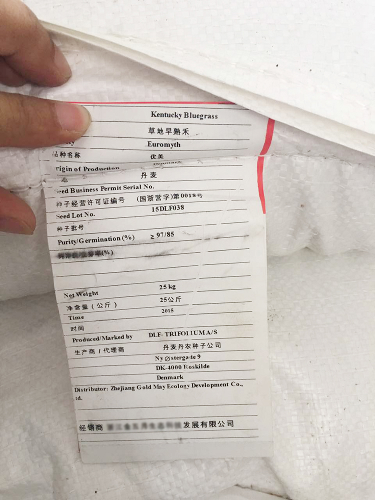多年生冬季牧草紫花苜蓿种子黑麦草菊苣饲料南北方可播抗寒紫花苜蓿净