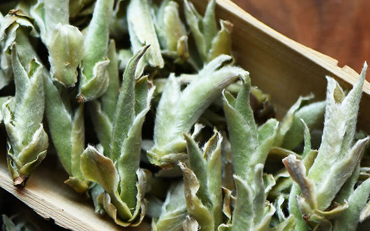 新茶2022年春茶野生芽孢茶茶叶古树芽孢白芽孢茶生茶散茶青草花香 500