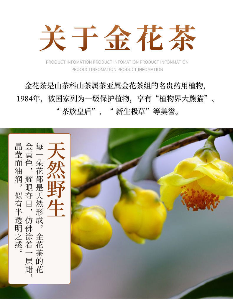 金花茶正宗广西十万大山防普冻干防城罐装天然养生花茶茶包 金花茶2罐