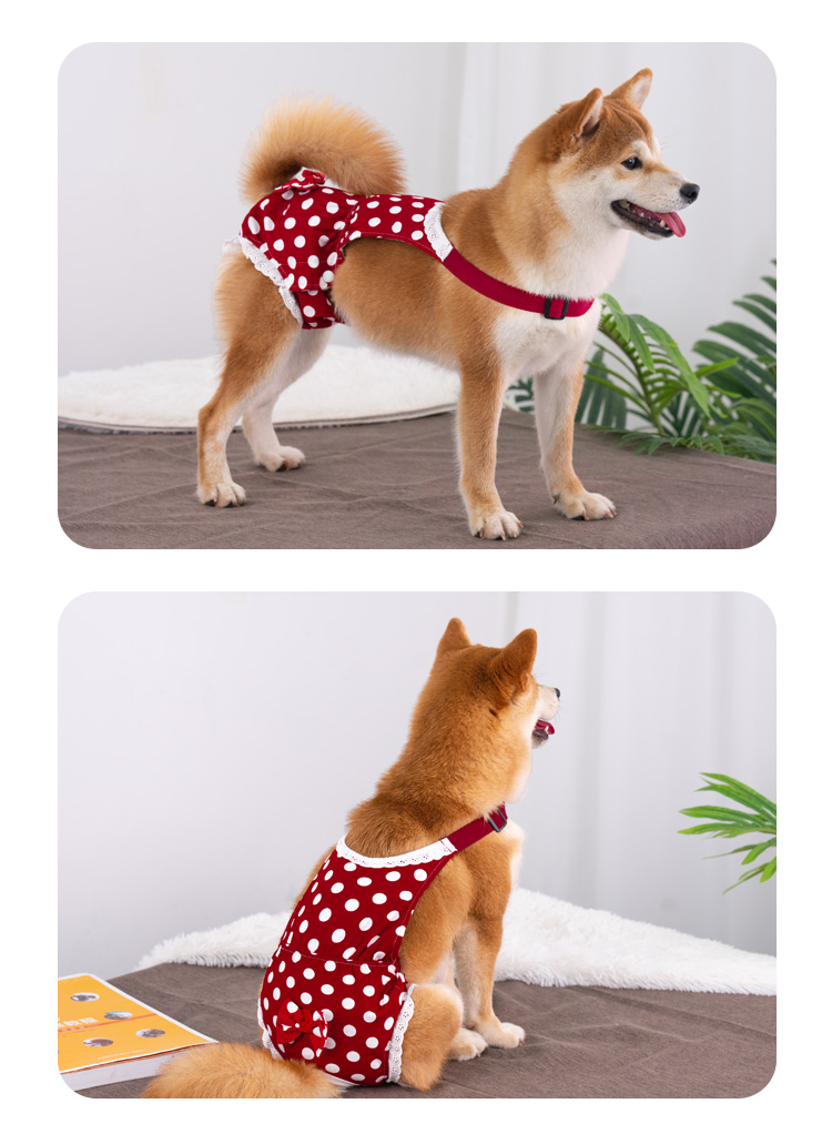 狗狗生理裤母狗女狗姨妈裤安全裤卫生裤经期防骚扰柴犬泰迪防交配