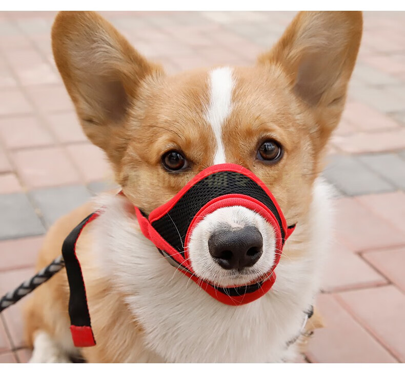 鹿凌青狗嘴套狗狗防乱吃防咬狗口罩大型防狗叫止吠器泰迪猫宠物用品嘴