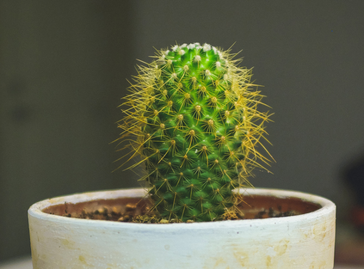 黄河滩沙土浴新生婴幼儿红屁股淹脖子宝宝尿布沙土裤爽身粉零售批发