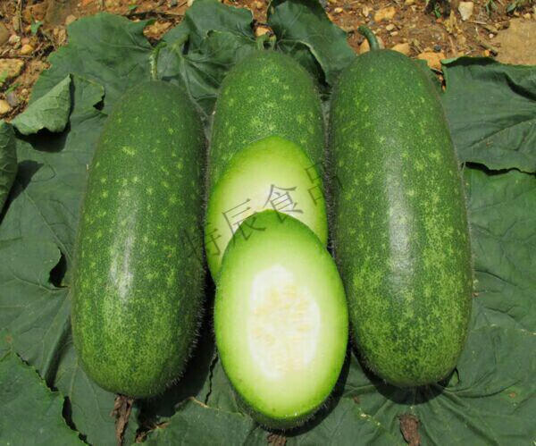 媚调 毛节瓜新鲜蔬菜迷你小冬瓜冬瓜广东节瓜约400克/只多规格可选 2