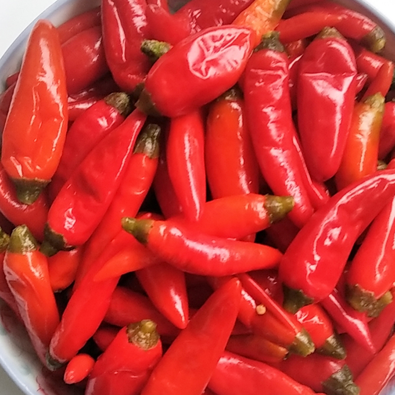 广西全州特产酸辣椒桂林红酸辣椒农家新鲜泡椒皮薄肉厚汁多酸海椒 1斤