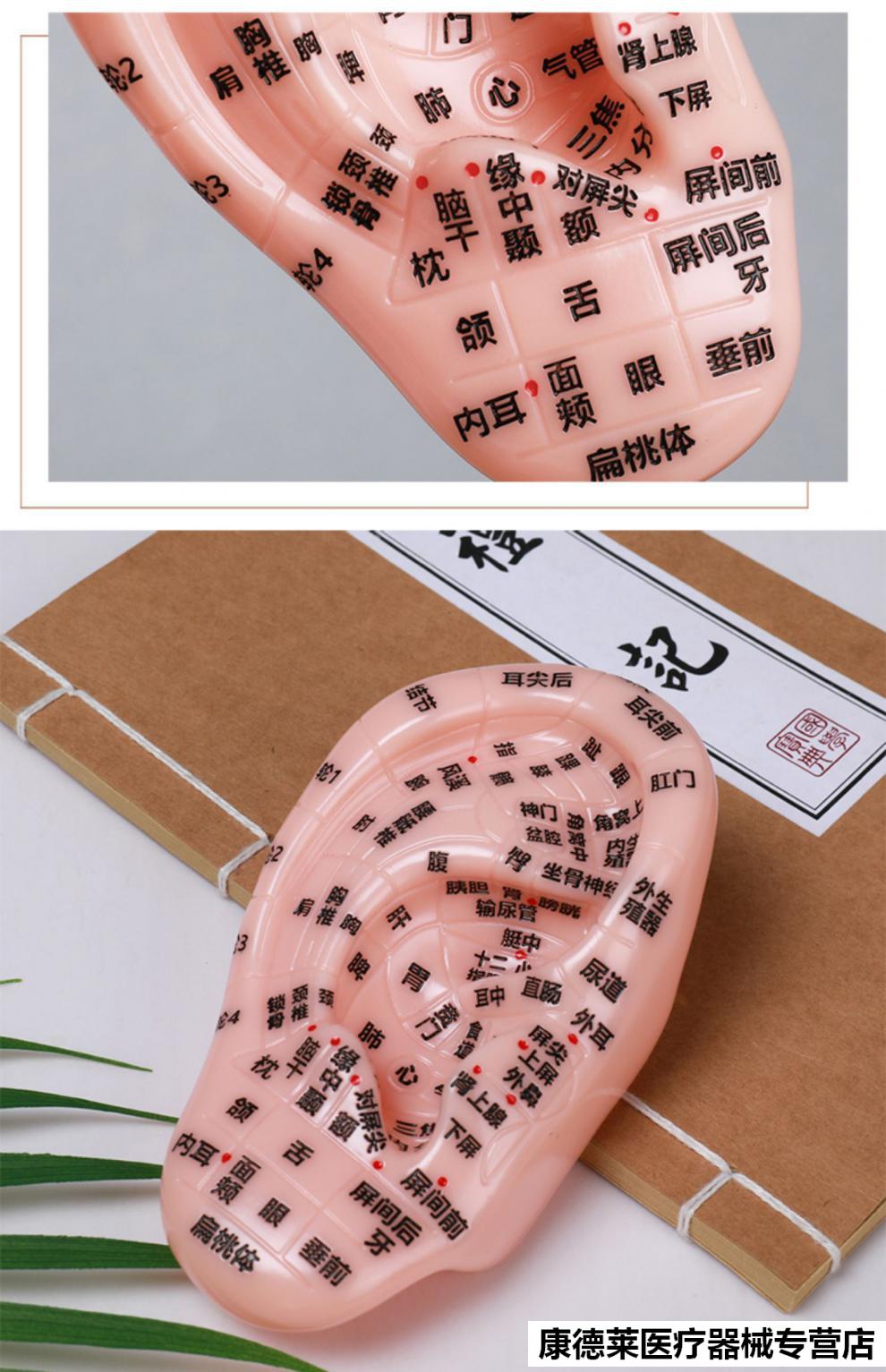 王不留行籽耳穴贴防过敏压丸贴近视耳朵穴位模型学习中医探穴笔 耳穴