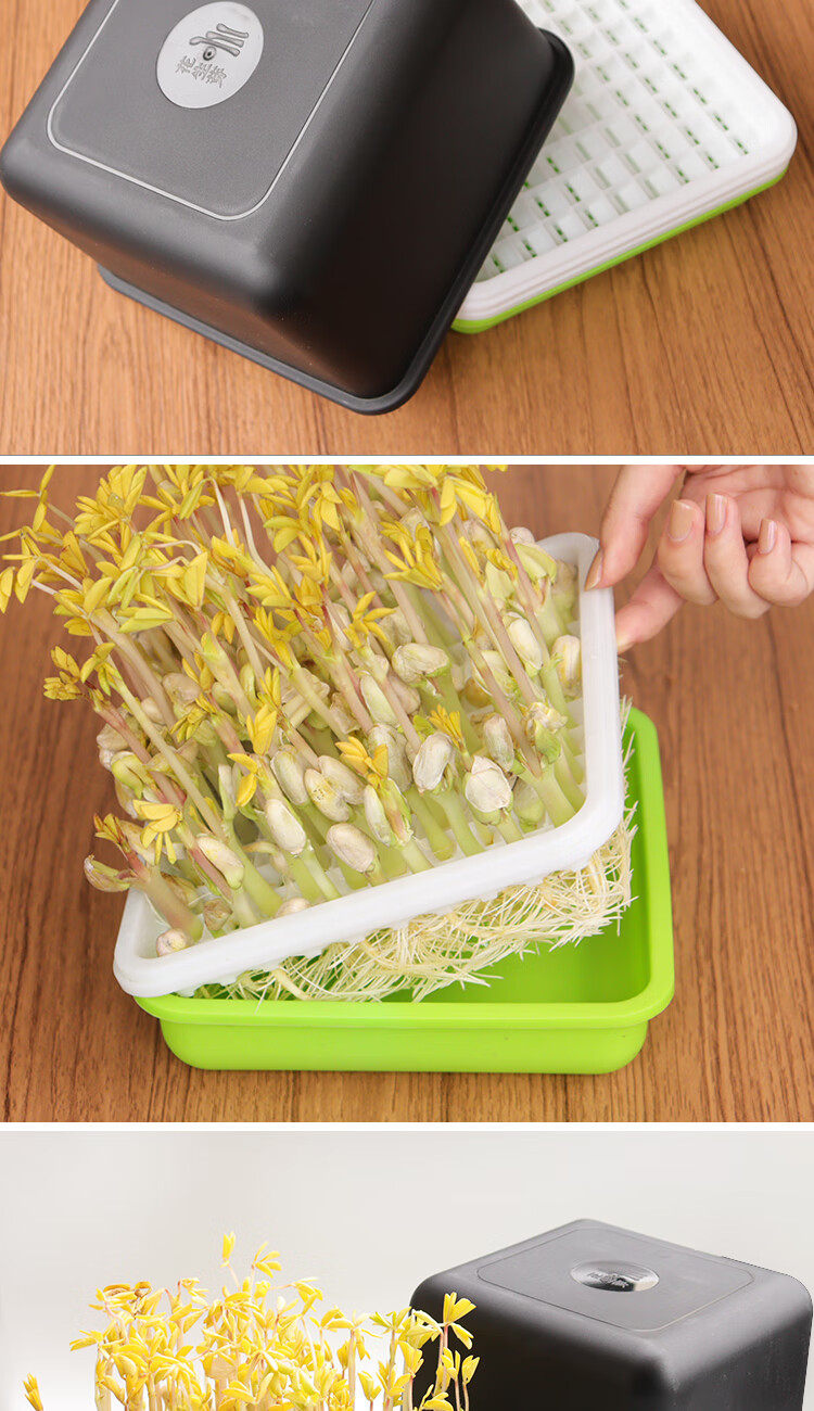 花生芽育苗盘豆芽发芽盆育苗盘芽苗菜水培盒发花生豆芽专用盆无土栽培