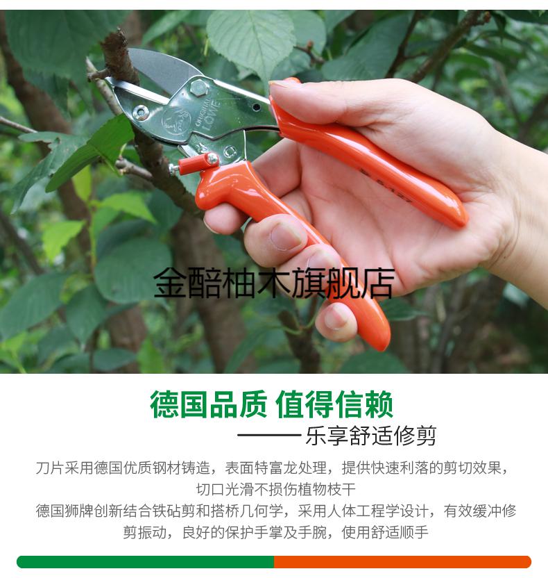 德国狮牌修枝剪5107/5127/1107 园林园艺剪刀工具 果树剪枝 德国狮牌