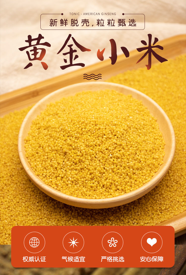 农家黄当季新米五谷杂粮粥月子宝宝米1斤5斤批发 优选黄3斤【图片