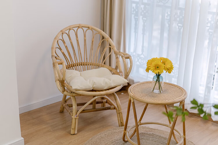 藤条椅子 北欧藤椅藤条椅高靠背椅阳台庭院休闲椅老人椅太阳椅民宿