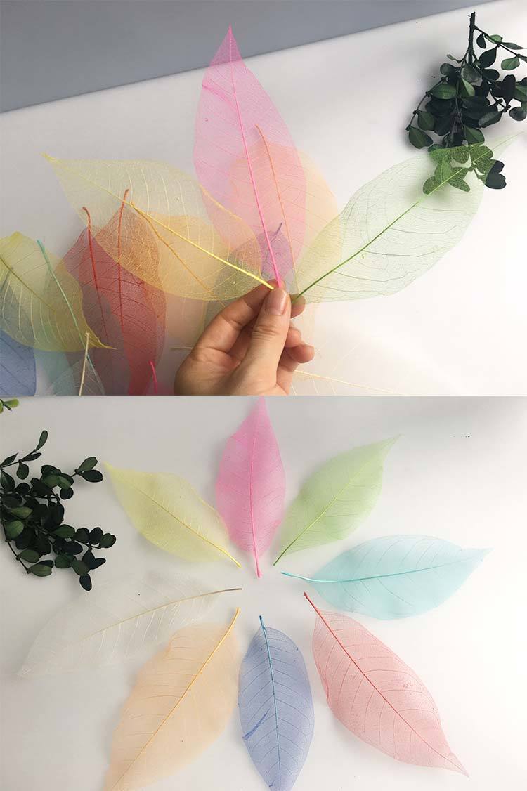 尚琛天然叶脉书签树叶子简约创意古典中国风小清新学生用复古风小礼品