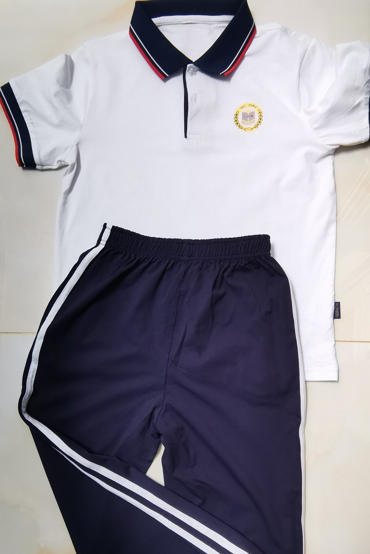 大亚湾公立学校校服华附育英小学西区一二三六小澳头夏装短袖男女