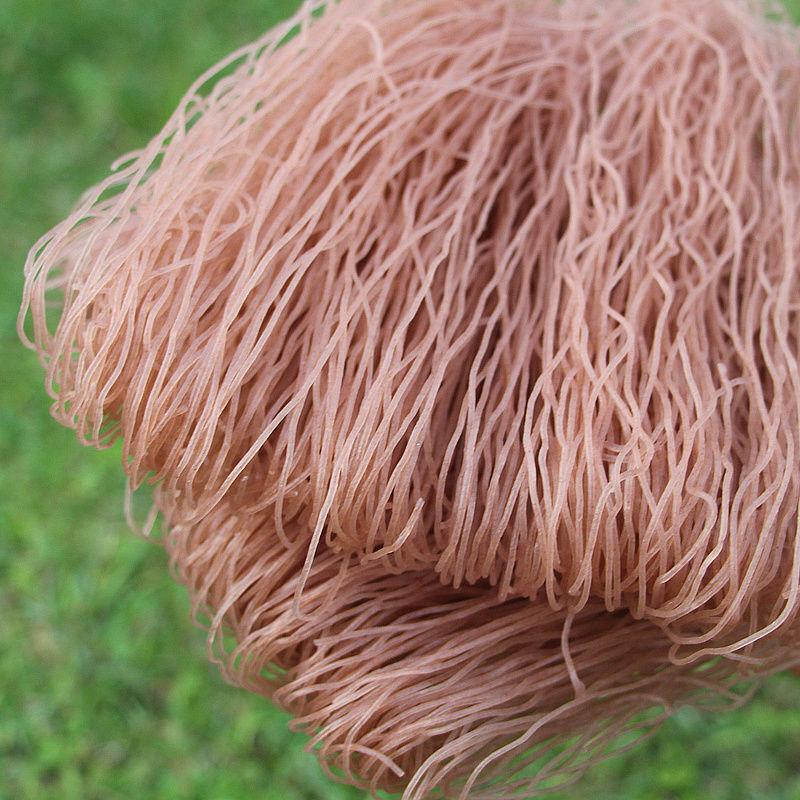 云南红米线红河线云南蒙自过桥米线细干米线元阳红米线米粉 4斤红米线