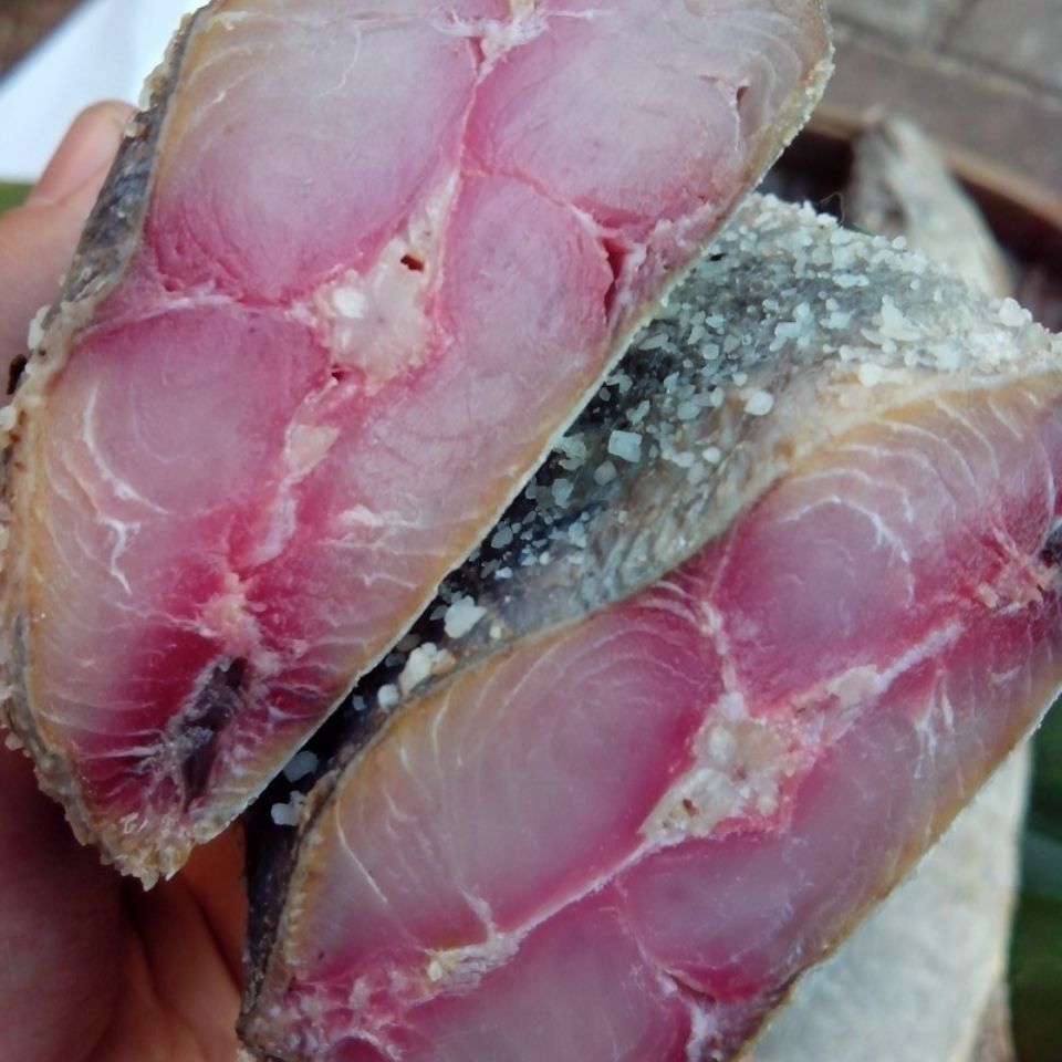 5折 梅香马鲛鱼 广东梅香臭马鲛鱼500g霉香马交鱼梅马胶臭咸鱼整鱼