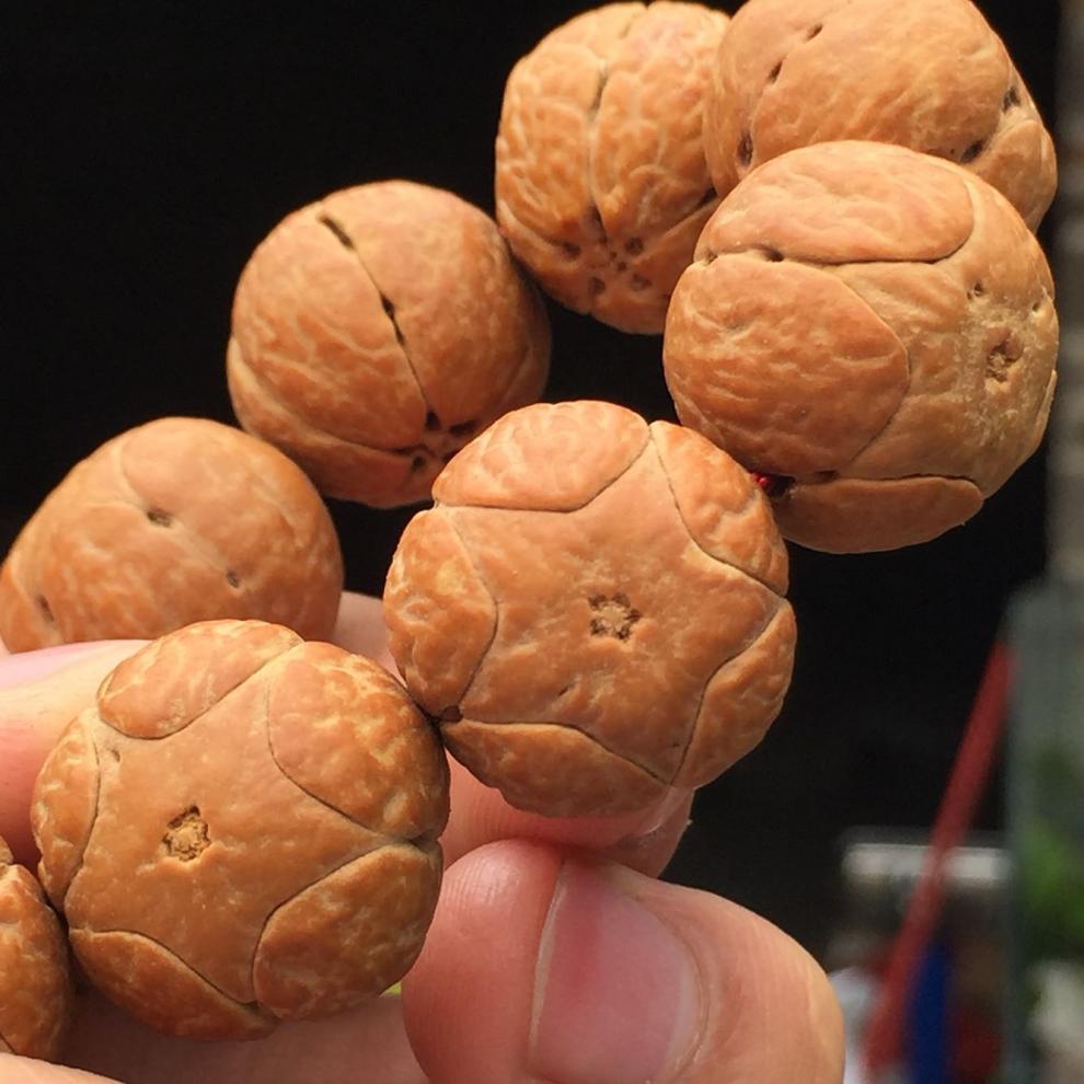 绝世情缘五星上将 麒麟眼菩提子 佛珠手链龙眼手串念108颗法师手持