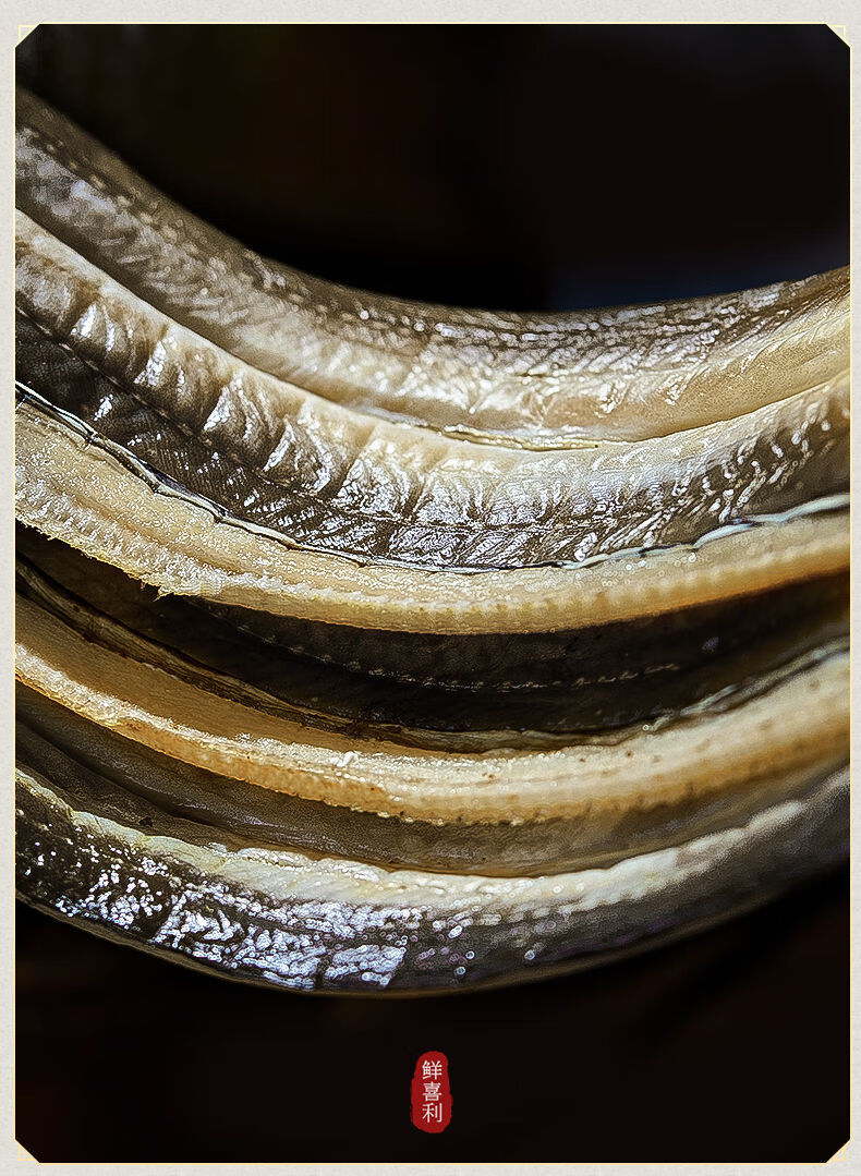 晒新风鳗鱼鲞七星鳗鱼海鲜干货舟山特产 沙鳗干8-10/条斤(2斤装【图片