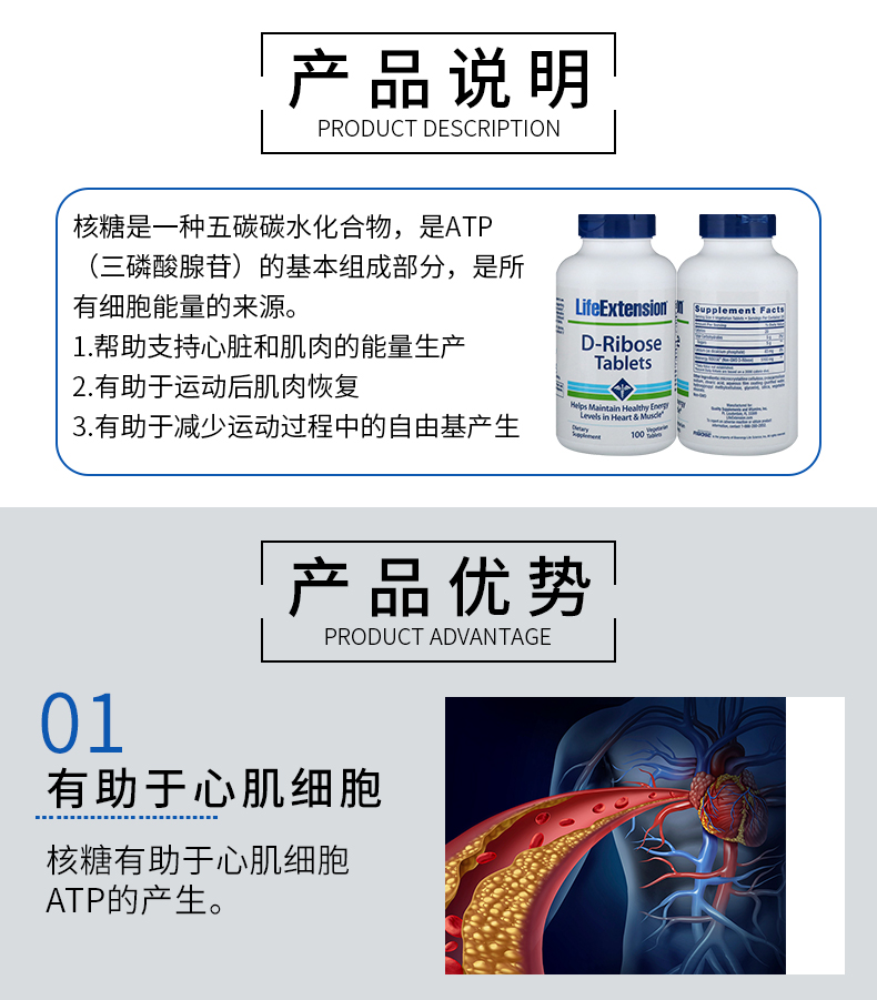 jfs/t1/59427/40/5201/287977/5d356de8E6db20fc8/6cedbffc707d0e6c.jpg