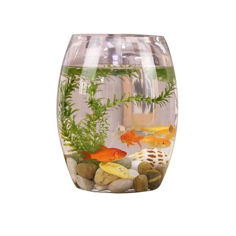 【京选推荐】创意桌面鱼缸生态圆形玻璃金鱼缸乌龟缸迷你小型造景家用
