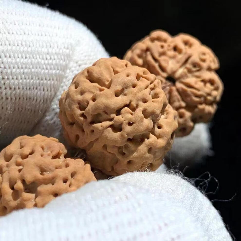 朴春 毕业尼泊尔大金刚菩提子手串 佛珠男女款 爆肉五星蜂王 原籽5瓣