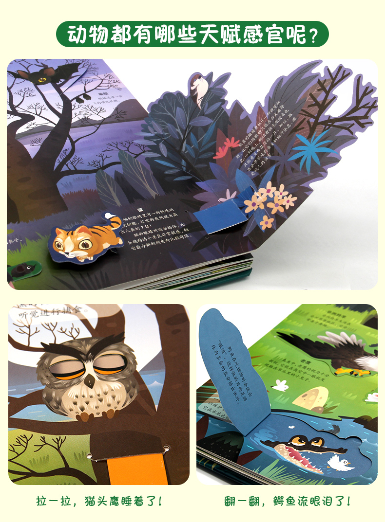 《rh神奇的动物立体书正版儿童3d立体书翻翻书小学生一年级三d三地