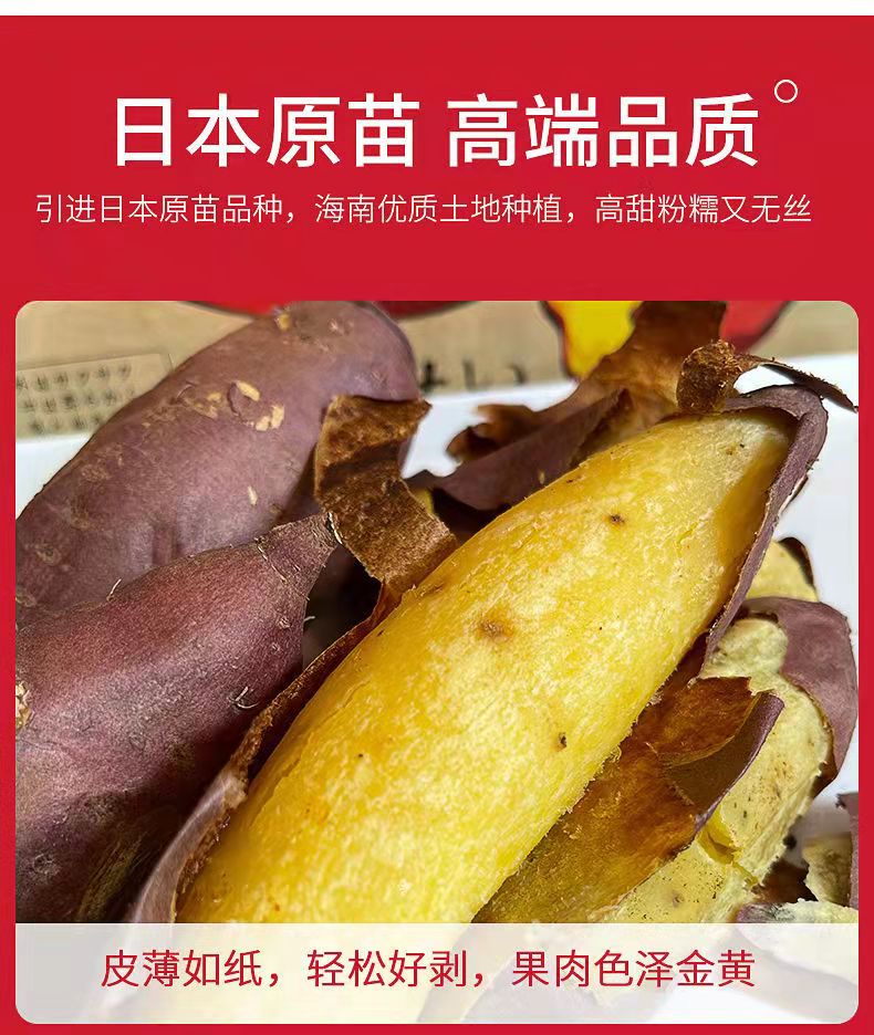 日本品种 鸣门金时 番薯板栗红薯 高甜粉糯细腻 10斤超值装 鸣门金时