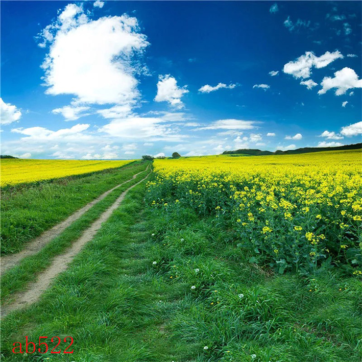 网红直播间背景布3d风景背景墙视频山水田主播背景布3d直播间外景网红