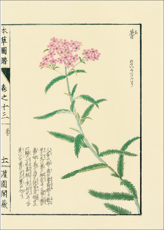 《古刻新韵辑七:本草图谱(全十册)随书附笔记本 岩崎常正 著 浙江人民