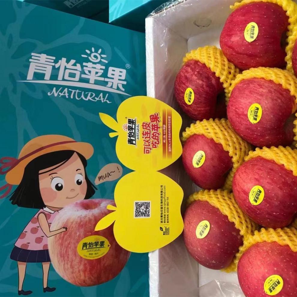 媚调 陕西洛川青怡苹果礼盒整箱可不削皮直接吃洛川