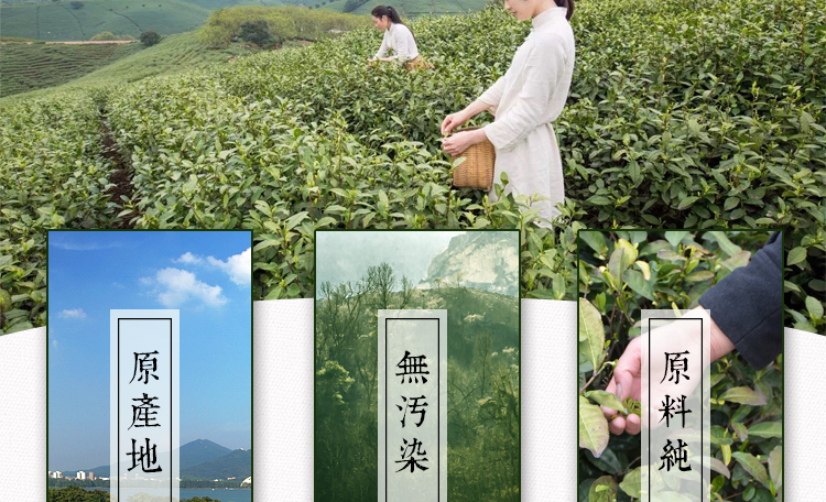 南京特产雨花茶 一份
