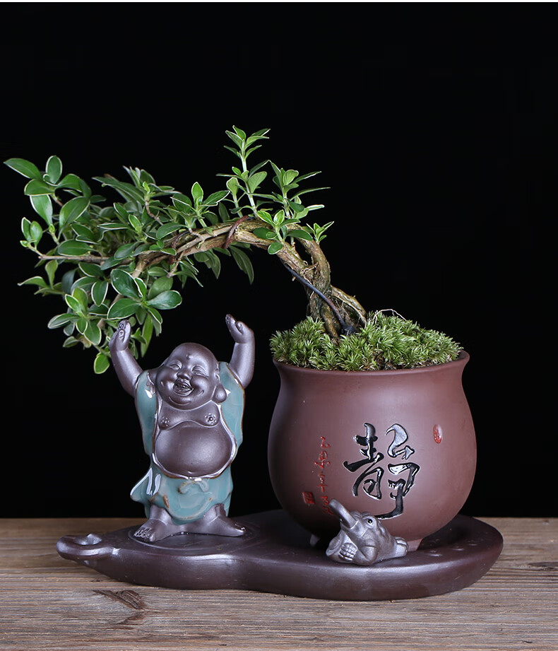 禅意小和尚摆件办公榕树陶瓷盆 z21画 紫砂0371黑组合 小【图片 价格