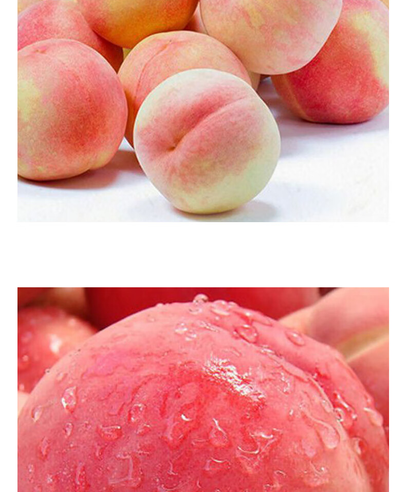 秦安水蜜桃甘肃天水特产桃子脆桃应季新鲜水果 10斤【图片 价格 品牌
