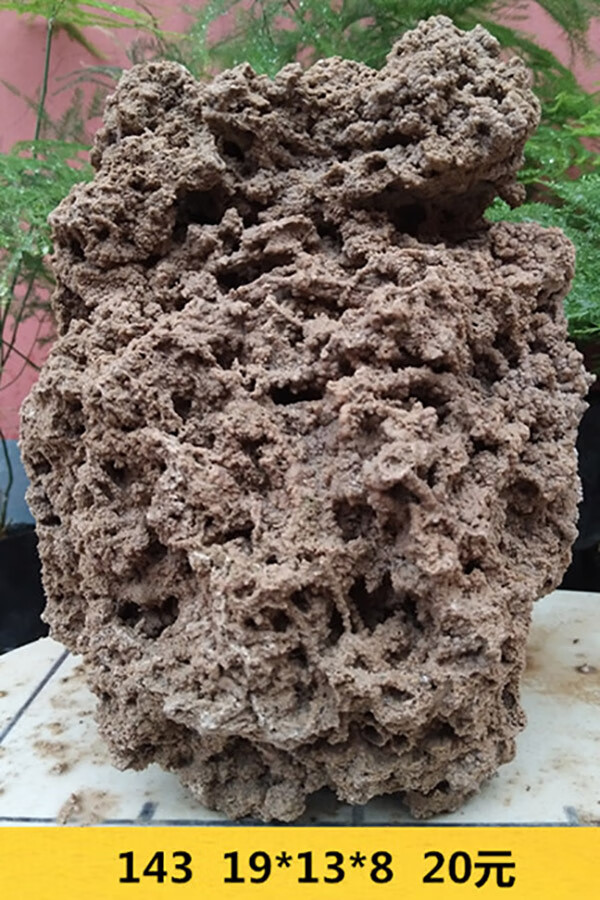 天然吸水石上水石原石盆景摆件麦管石假山奇石造景装饰摆件下单联系